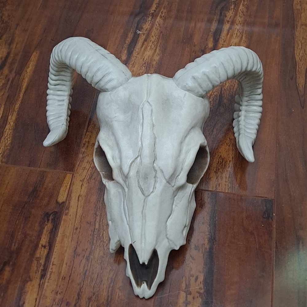 Crazy Bonez Ram Plastic Decoration Skull Wall Accent in Off-White